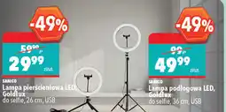 Biedronka Lampa pierścieniowa LED / Lampa podłogowa LED, Goldlux oferta