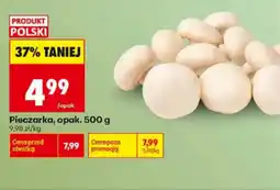 Biedronka Pieczarka oferta