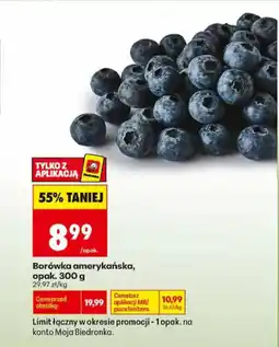 Biedronka Borówka amerykańska oferta