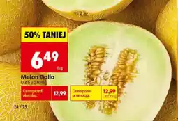 Biedronka Melon Galia oferta