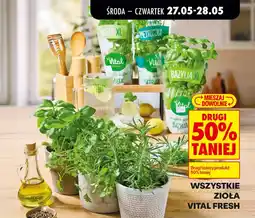 Biedronka Wszystkie zioła vital fresh oferta