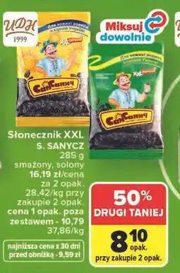 Carrefour Słonecznik XXL S. Sanycz oferta