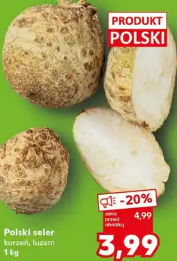 Kaufland Polski seler oferta