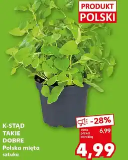 Kaufland K-Stąd Takie Dobre Polska mięta oferta