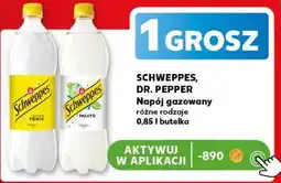 Kaufland SCHWEPPES, DR. PEPPER Napój gazowany oferta