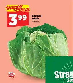 Topaz Kapusta młoda oferta