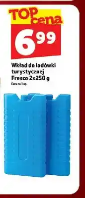 Topaz Wkład do lodówki turystycznej Fresco oferta