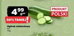 Netto Ogórek szklarniowy polski oferta