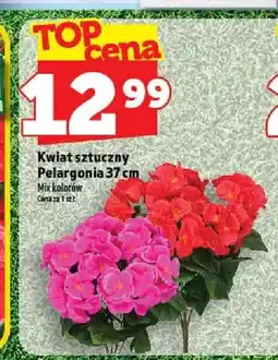 Topaz Kwiat sztuczny Pelargonia 37cm oferta