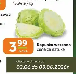 Społem Częstochowa Kapusta wczesna oferta