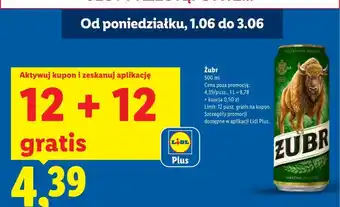 Lidl Piwo Żubr oferta