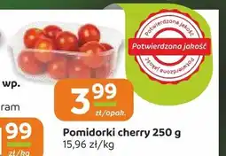 Społem Częstochowa Pomidorki cherry oferta