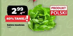 Netto Sałata masłowa polska oferta