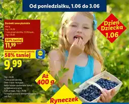 Lidl Borówki amerykańskie oferta