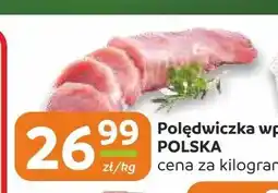 Społem Częstochowa Polędwiczka wp. polska oferta