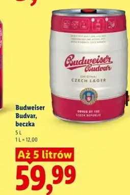 Lidl Piwo Budweiser Budvar beczka oferta