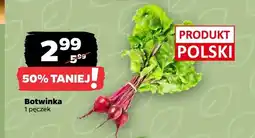 Netto Botwinka polska oferta