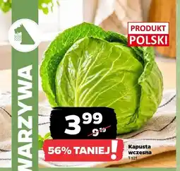 Netto Kapusta wczesna polska oferta