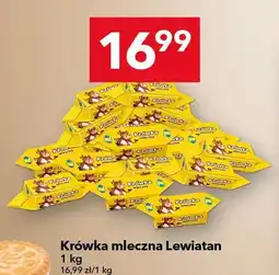 Lewiatan Krówka mleczna Lewiatan oferta