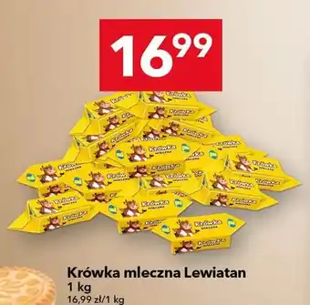 Krówka mleczna Lewiatan