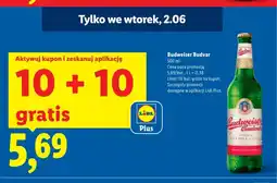 Lidl Piwo Budweiser Budvar oferta