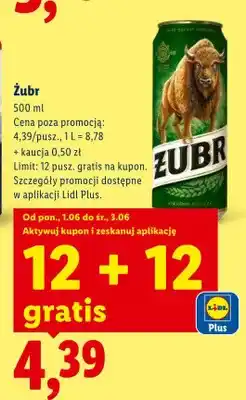 Lidl Piwo Żubr oferta