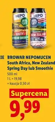 Lidl Piwo Nepomucen South Africa oferta
