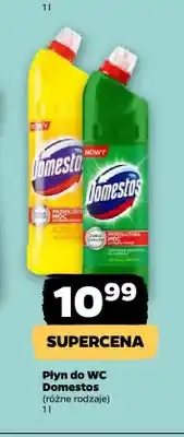 Netto Płyn do WC Domestos Pine oferta