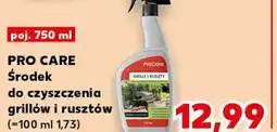 Kaufland Pro care Środek do czyszczenia grillów i rusztów oferta