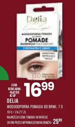 Drogerie Natura Delia Wodoodporna pomada do brwi oferta