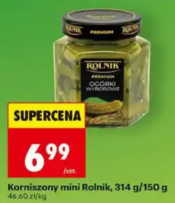 Biedronka Korniszony mini Rolnik oferta