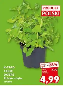 Kaufland Polska mięta oferta