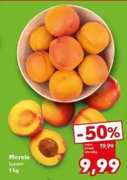 Kaufland Morele luzem 1 kg oferta