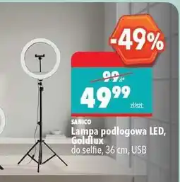 Biedronka Lampa podłogowa LED, Goldlux oferta