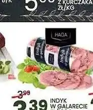 Wafelek Indyk w galarecie Haga oferta