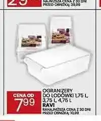 Wafelek Organizery do lodówki Ravi oferta