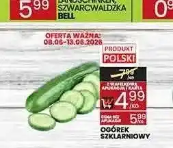 Wafelek Ogórek szklarniowy polski oferta