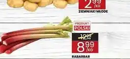 Wafelek Rabarbar polski oferta