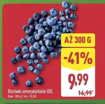 ALDI Borówki amerykańskie XXL oferta