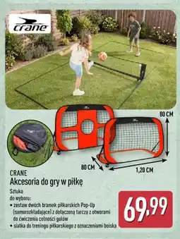 ALDI Akcesoria do gry w piłkę CRANE siatka do treningu piłkarskiego oferta