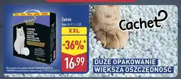 ALDI Żwirek Cachet XXL oferta