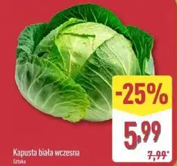 ALDI Kapusta biała wczesna oferta