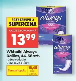 Biedronka Wkładki Always Dailies Large oferta