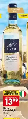 Biedronka Wino Uvam Pinot Grigio wytrawne białe oferta