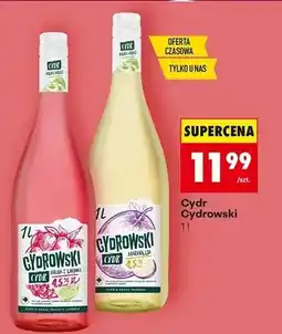 Biedronka Cydr Cydrowski Malina z Limonką oferta