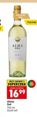 Biedronka Wino Alma Sol oferta