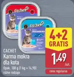 ALDI Cachet Karma mokra dla kota oferta