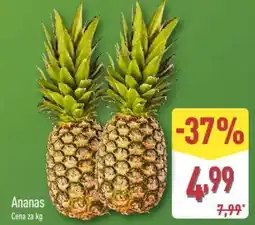 ALDI Ananas oferta