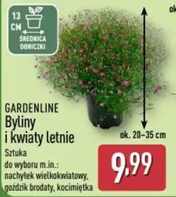 ALDI Gardenline Byliny i kwiaty letnie oferta