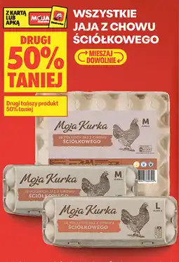 Biedronka Jaja z chowu ściółkowego Moja Kurka oferta